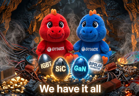 Dynex lair
